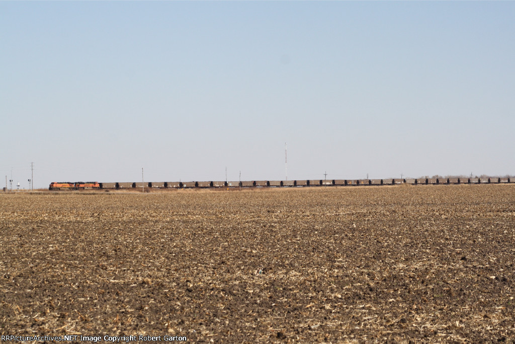 BNSF 6034 & 9362 wrap a coal empty train around a harvested corn field